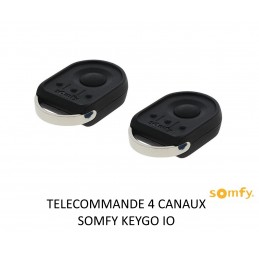 Moteur portail battant - AXOVIA 3S io - PACK CONFORT - SOMFY 1216596